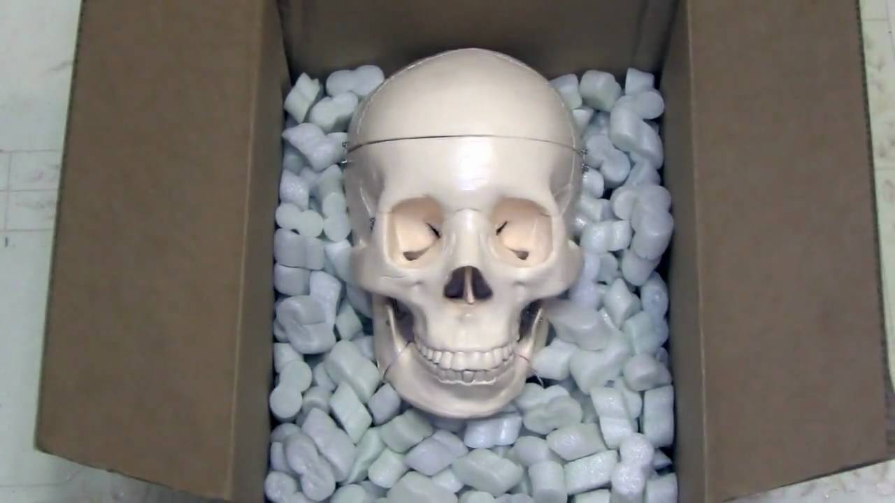 Robot Skeleton Astley