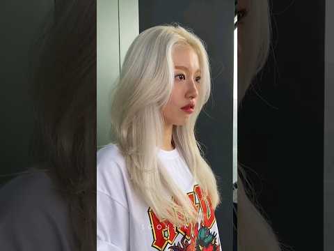 순시키만의 탈색 머리 모음 🥰