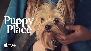 Puppy Place — Princess the Terrier | Apple TV+