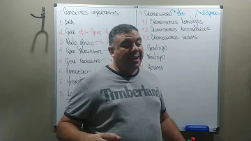 Como você explicaria a presença de dois cromossomos de cada tipo nas nossas células?