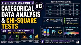 Categorical Data Analysis & Chi-Square Tests | Statistics #13