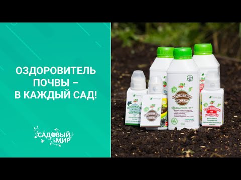 Оздоровитель почвы – в каждый сад!