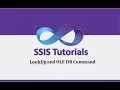 SSIS Tutorials - 7.Lookup transformation and OLE DB Command in SSIS