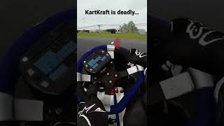 Kartkraft Is A Wild Sim.