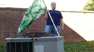 Tuesday June 6 Back scratchers.