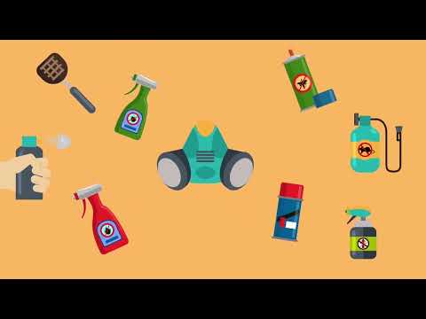 شركة مكافحة حشرات بجدة إتقان كلين