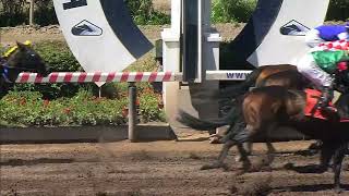 Vidéo de la course PMU PRIX SAMUEL SANCHEZ VIAL