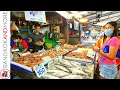 Amazing Thai Seafood Market | PATTAYA Thailand