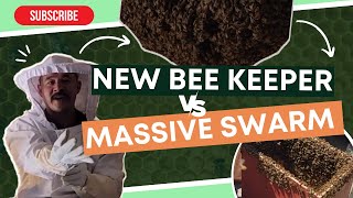 How to Catch and re-home Huge Swarm of Bees