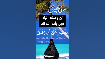 رساله لك #quran #قران_كريم #سورة_يس