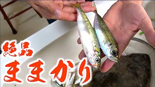 この小さな魚が絶品だった！！