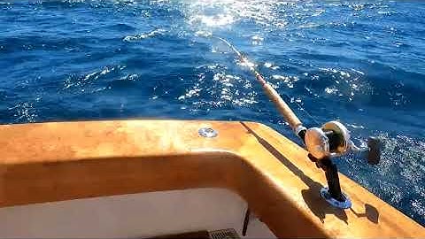 Getting the bite on a Daytime Swordfish in the Gulf of Mexico