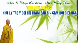 Tinh Hoa NIKAYA - Như Lý Tác Ý Đối Trị Tham Sân Si -Sám Hối Diệt Ngã - Chùa Hoằng Pháp ( Đài Loan)