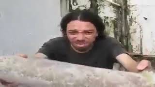 Bluezao Tentando Quebrar Pedra Na Cabeça