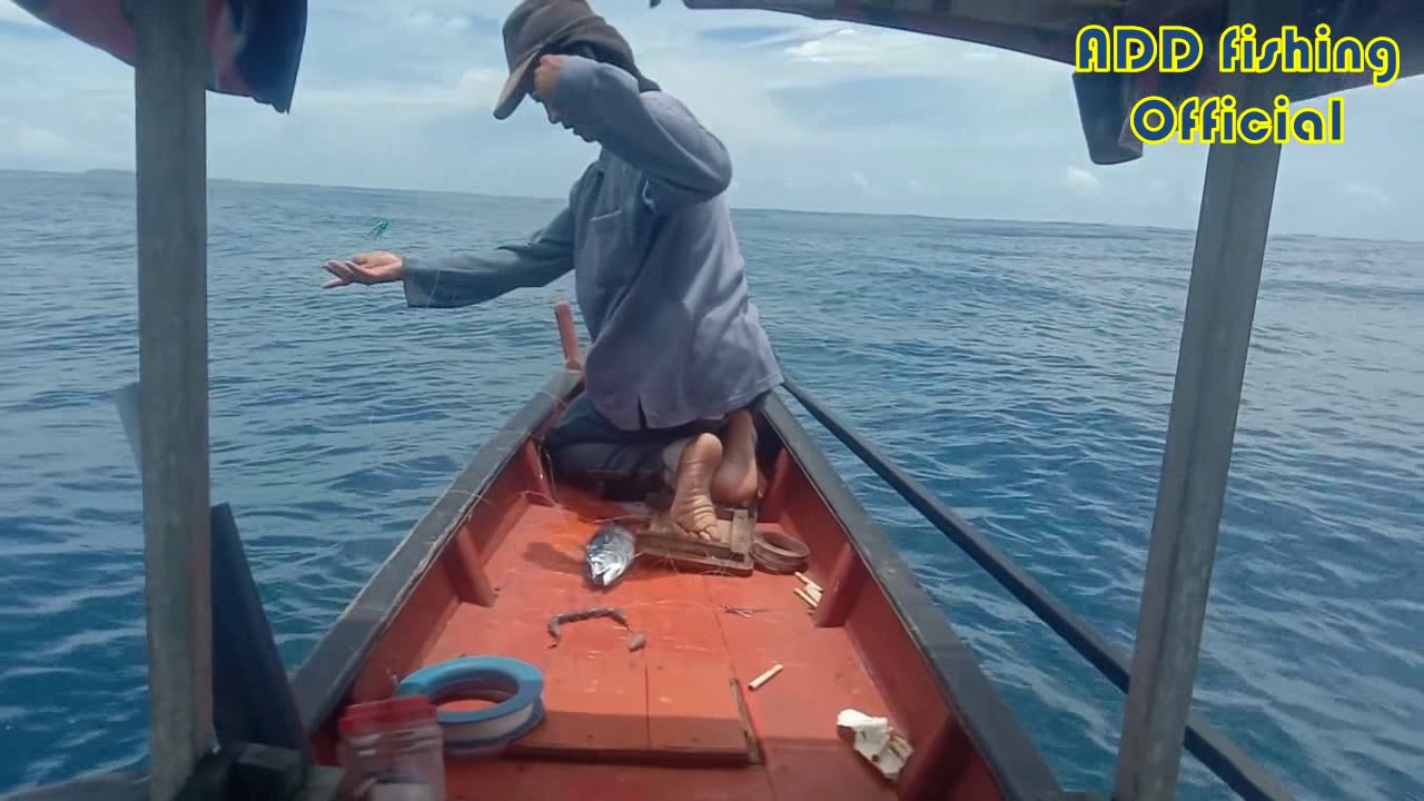 INILAH YANG TERJADI KALAU IKAN TONGKOL LAGI KELAPARAN