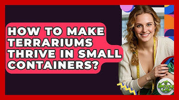 How To Make Terrariums Thrive In Small Containers? - The Upcycle Lab