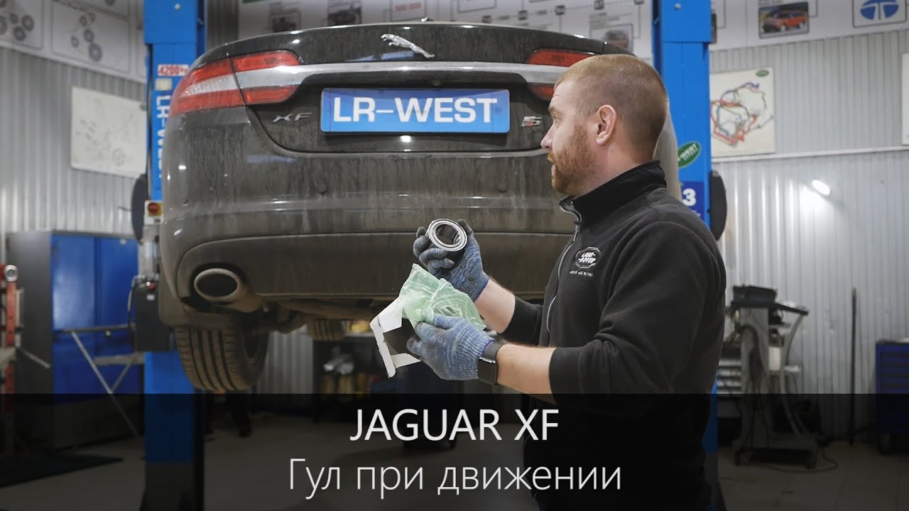 Тигуан гул при движении