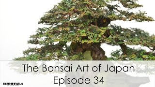 The Bonsai Art of Japan - Episode 34
