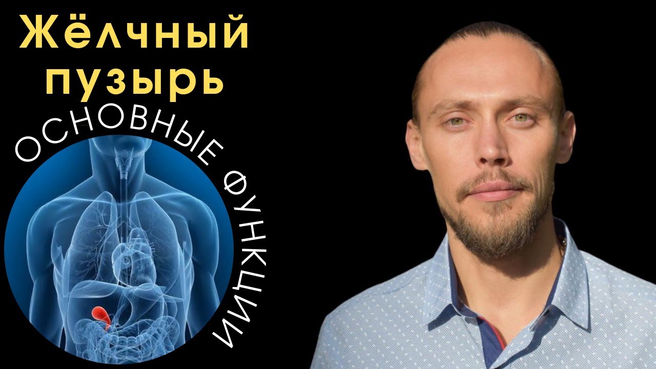 Жёлчный пузырь! Его основные функции! Чем грозит удаление жёлчного ...