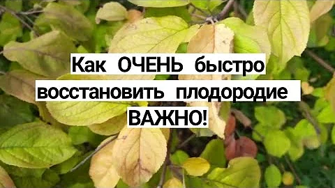 Восстанавливаем ПЛОДОРОДИЕ почвы самый простой и дешёвый способ