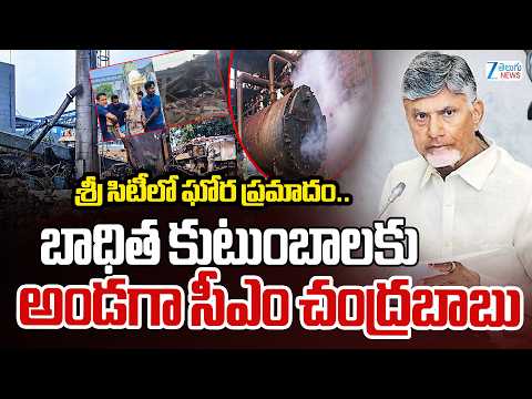 CM Chandrababu Reacts Reaction On Tirupati Sri City Boiler Explosion | ZEE Telugu News - ZEE24TELUGUNEWS