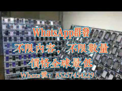 WhatsApp 消息代发   百分之百送达