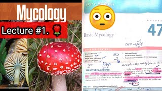 Basic mycology.  LECTURE #1 Chap 47 Difference between fungi and bacteria. #hyphaeyt. Lab diagnosis