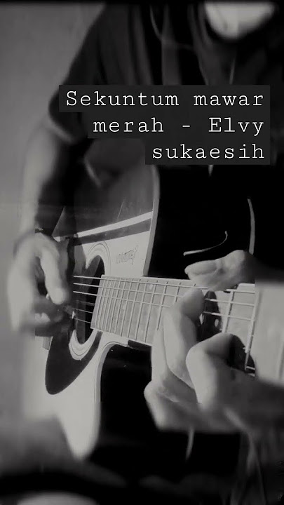 Sekuntum mawar merah akustik