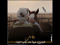 أنا ما بنجرح أنا لألف جرح تصميم حالات