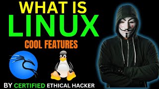 What is Kali Linux Ethical Hacking Tutorial All Basic linux Commands Complete Guide in Hindi/Urdu