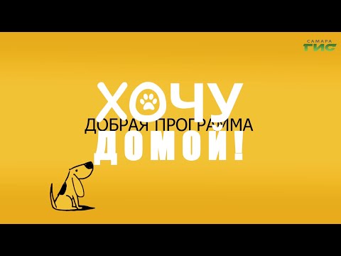 "Как перевезти собаку в общественном транспорте" / "Хочу домой!" от 01.10.2021