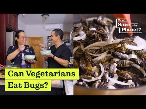 Video: Ar vegetarai gali valgyti košenilį?