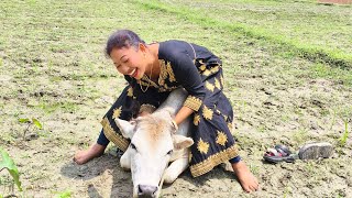 Cow Riding Fail 😂🐄 | Funniest Village Video Ever | Desi Comedy
