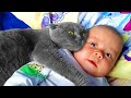 Cat Won&#39;t Leave Baby Alone. When Parents Discover the Reason, They Call the Police