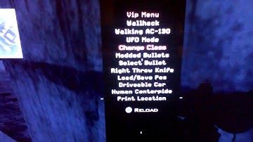 Mw2 *1.11* patch Project Reborn 1.24