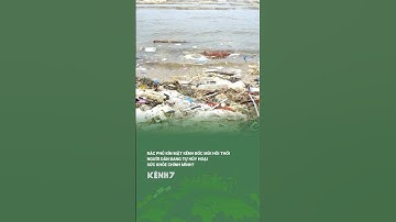 Rác phủ kín mặt kênh bốc mùi hôi thối người dân đang tự huỷ hoại sức khoẻ chính mình