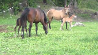 M4H00944.MP4