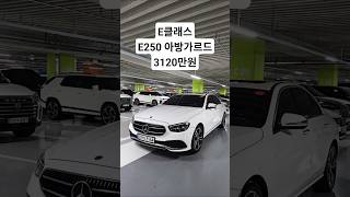 항상 잘팔리는 수입세단