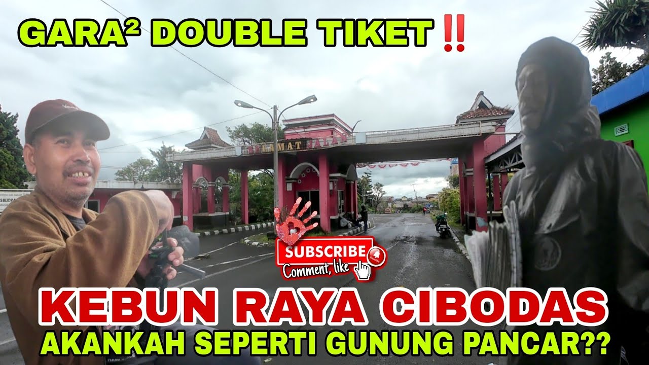 kebanyakan tiket‼️kebun raya cibodas puncak sepi, akankah seperti gunung pancar ???