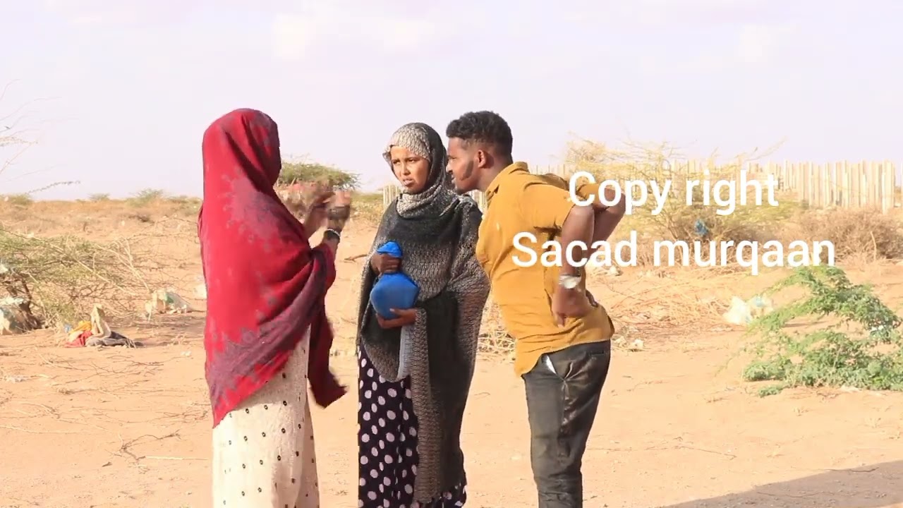 QAYBTII 6AAD HAASAAWE BILAA MOBILE HABRUU KUULA GALAA 🤣 28 August 2022