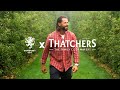 Somerset Legend Peter Trego helps Thatchers Cider with their harvest 🍎