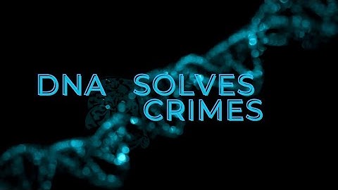 Hello, welcome to my channel, Forensic Lens!