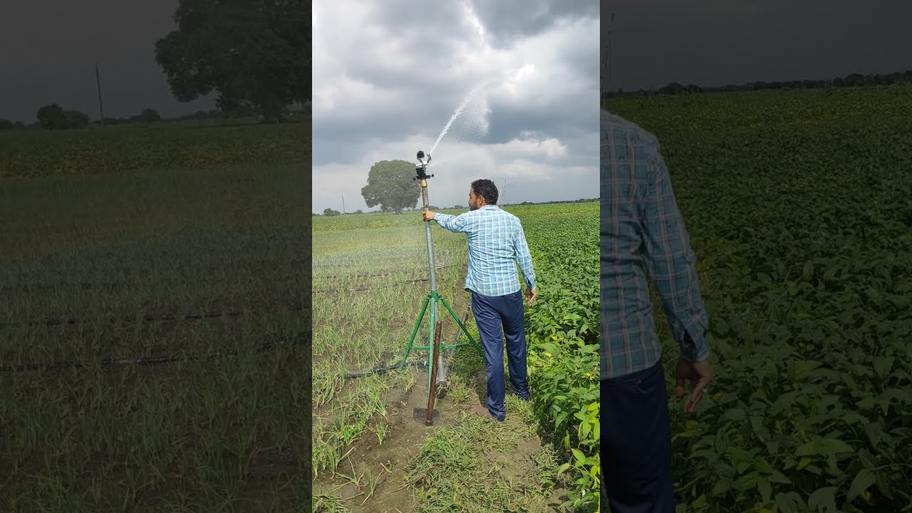 Rain Gun 1.5 Inch Demo | Auto Med Irrigation | Full Coverage Farming Test