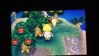 Talking To Paula While Being Chased By Bees Animal Crossing New Leaf