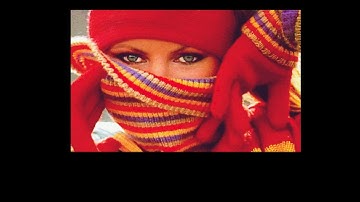 Amiga 500 - NewTek Demo Reel 01