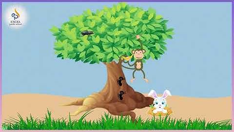 3/08/2020 | EVS | Life of an Animals | Class 2