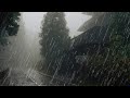 Rain Sounds For Sleeping - 99% Instantly Fall Asleep With Rain And Thunder Live #liverainsounds