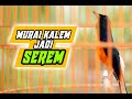 Pancingan Murai Batu Ikut Nyaut Tambah Gacor Bonus Bongkar Isian Omkicau(.mp3 .mp4) Mp3 - Mp4 Download