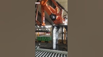 Milk bottle water bottle carton box robot hand high accuracy palletizing machine palletizier line