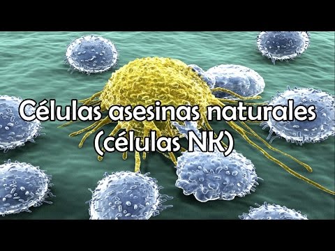Vídeo: Diferencia Entre Células NK Y Células NKT